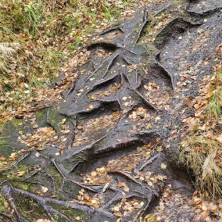 #icelandic.beauty #iceland #icelandicbeauty #icelandtravel #icelandtrip